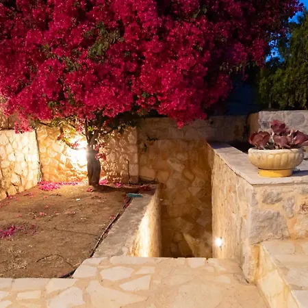 Instaview 2 * Толон