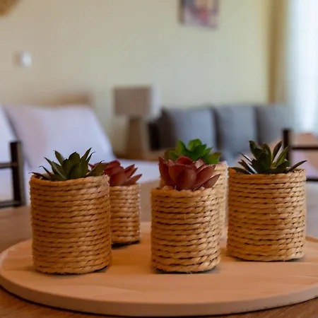 Instaview 2 Апартаменты *