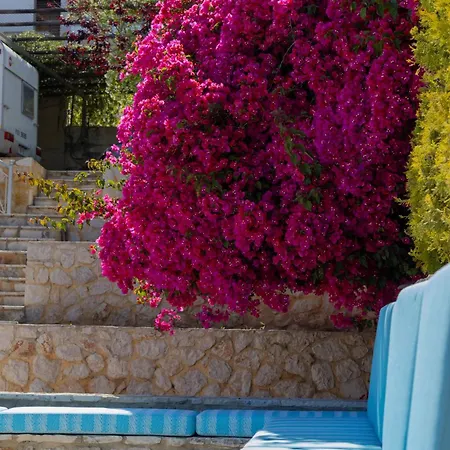 Апартаменты Instaview 2