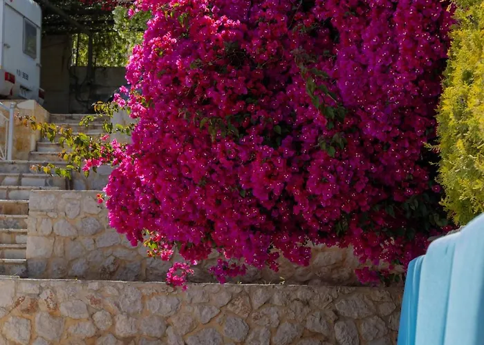 Appartamento Instaview 2